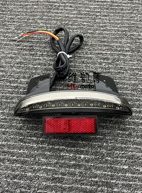 哈雷XL883 XL1200N X4L改装短款后挡泥板8ED尾灯刹灯车行车灯转向
