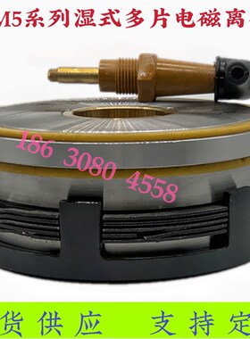 .支M5-1.2A2D5A16A25A40A63A100湿式多片电磁离合器DC24VL持定做