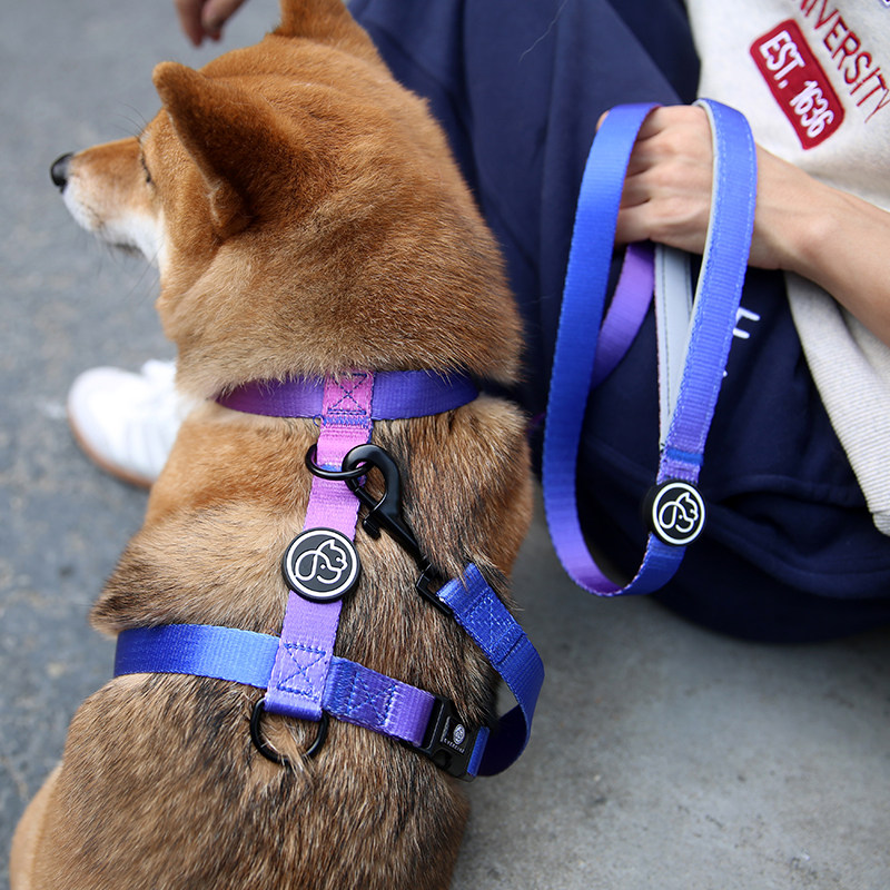 狗狗牵引绳狗柯子项圈迪物胸抱婴袋泰宠柴犬链基法斗中小型犬遛狗