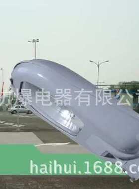 道路灯250瓦 NLC9300-N250W马路灯250W路灯