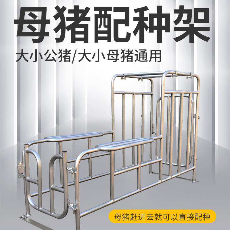 母猪配种架热镀锌大公猪采精架子小母猪配种栏猪用配种架养殖场设