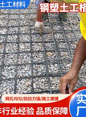 钢塑土工格栅路面路基挡土墙加固土工格栅加筋GSZ钢塑土工格栅
