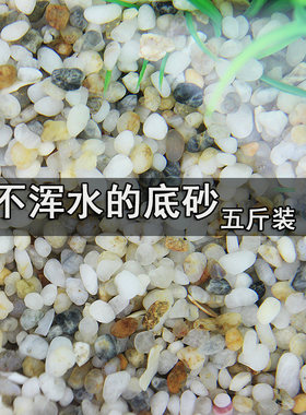 鱼缸底砂水族箱底沙乌龟缸石子鱼缸布景装饰垫材天然造景沙养水草