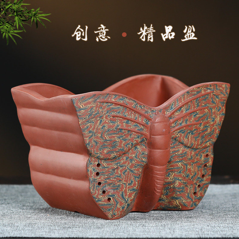紫砂盆创意个性花盆君子兰蝴蝶兰花盆客厅家用盆景盆室内漂亮花盆