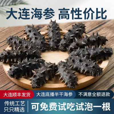 大连海参20根（大火）大连海参