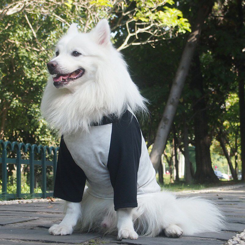 宠物狗狗中大型犬两脚衣护肘护关节保暖加绒萨摩银狐拉布拉多金毛