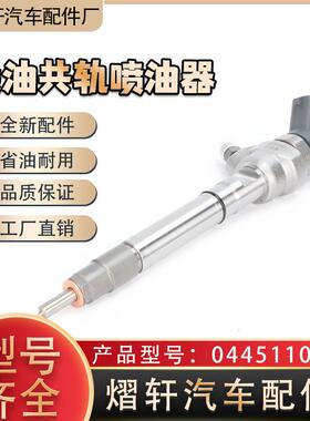 0445110443 发动机柴油共轨喷油器喷油嘴