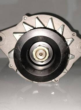 适用于五十铃NKR NPR 4HF1汽车交流发电机8971484960 LR250502