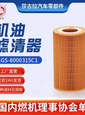 适用纳威司达江淮帅铃H380江淮格尔发KGL原件8000315C1机油滤清器
