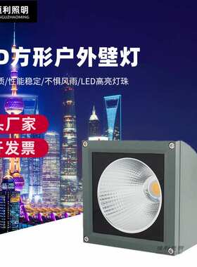 20w30w50WLED户外防水COB壁灯 室内外外墙方形户外壁灯防水投射灯