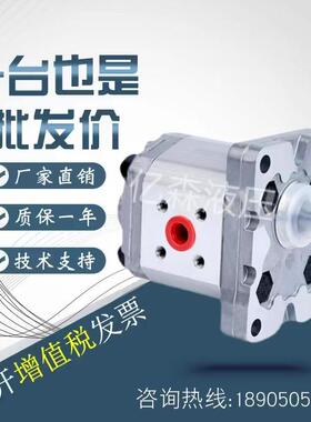 齿轮泵AZPB-22-1.0/2.0/2.5/3.1/4.0/4.5/6.3/7.1RHY20MB/RHM20MB