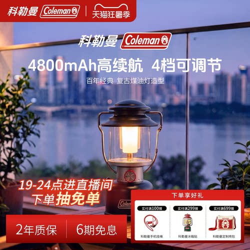 充电LED露营灯黑800流明