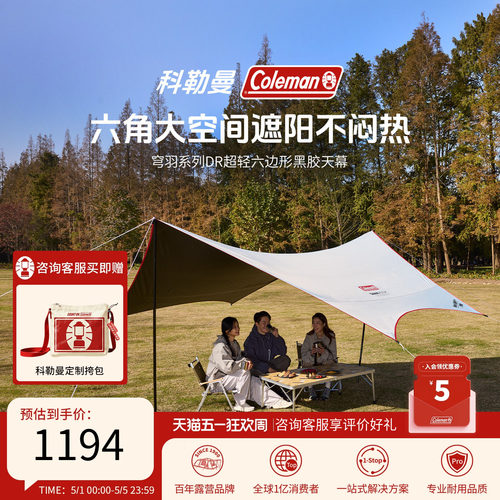 穹羽系列超轻六边形黑胶天幕银白