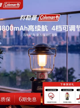 充电LED露营灯黑800流明