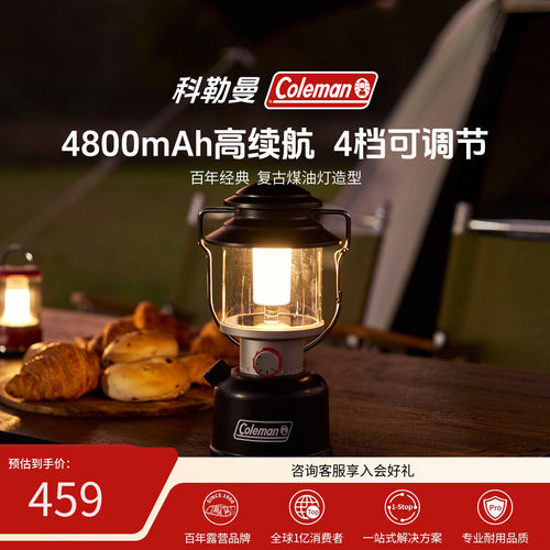 充电LED露营灯黑800流明