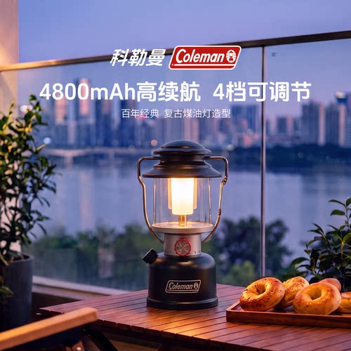 充电LED露营灯黑800流明