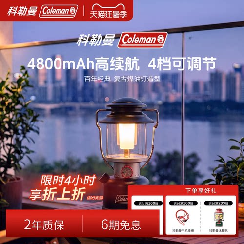 充电LED露营灯黑800流明