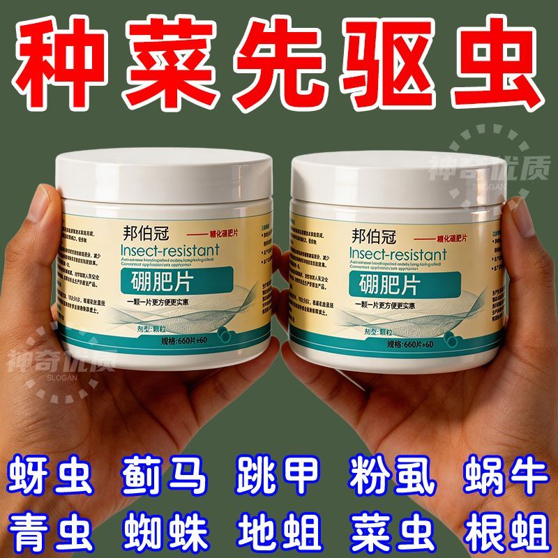 家庭园艺防虫片防小黑飞蚜虫白粉虱小菜蛾飞虫专用花卉绿植多肉