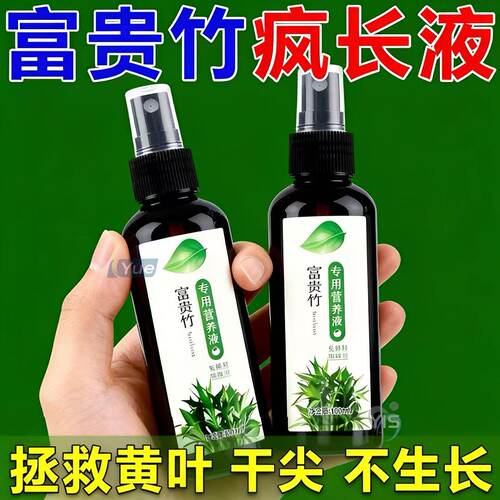 【一喷猛长】观音竹富贵竹专用营养液防黄叶烂根生根通用液体肥