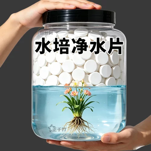 水培碗莲净水片保鲜营养渗透剂
