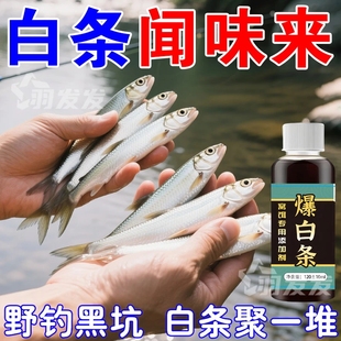 野钓小白条小药饵料白条鱼饵促食剂专攻白条餐条翘嘴马口诱鱼小药