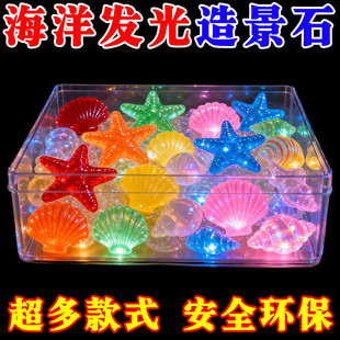 夜光贝壳荧光五彩发光石头海星海螺水族海星鲜活海洋夜光彩色贝壳