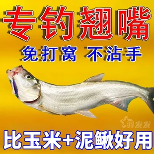翘嘴狂提饵料添加剂翘嘴专用小药野钓黑坑钓翘嘴专用饵料渔业用具