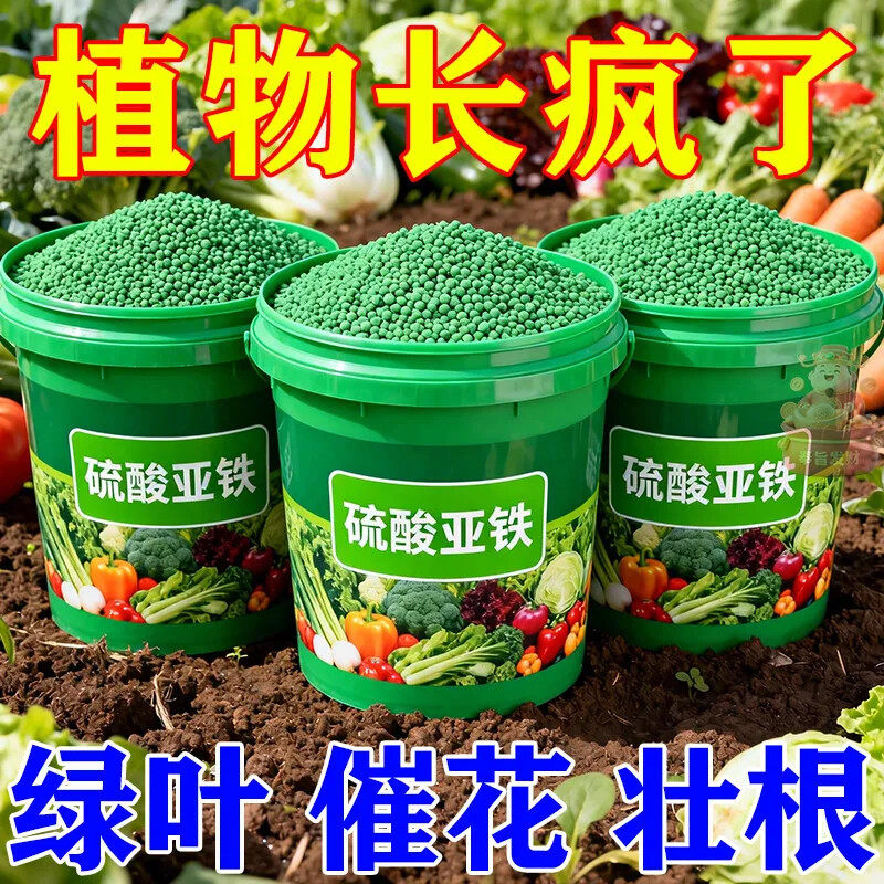 硫酸亚铁花肥料土壤调酸植物通用