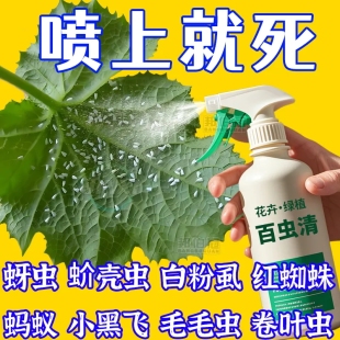 驅(qū)花蚜蟲蚧殼蟲紅蜘蛛 百蟲清植物蔬菜通用花卉綠植除蟲劑多肉月季