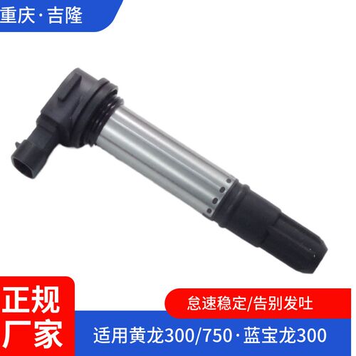 摩托车配件高压包适用钱江骁750黄龙300蓝宝龙BJ300GS点火线圈