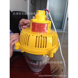 BPC8760防爆灯具LED防爆平台灯.