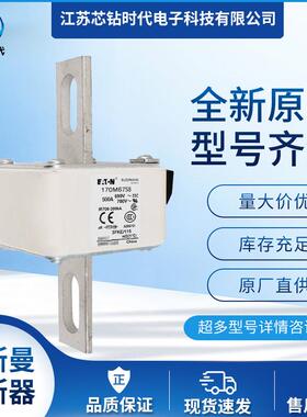 170M6767170M6768170M6769巴斯曼BUSSMANN快速熔断器保险丝