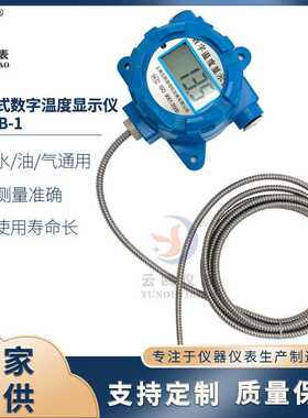 壁挂式数字温度显示仪PT100挂壁分体式数字数显测温计软管线缆式