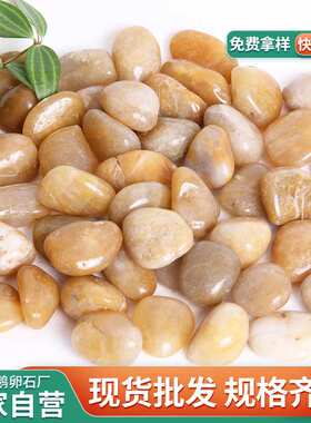 黄色抛光鹅卵石工程铺路石头园林景观鱼缸造景雨花石厂家石河卵石