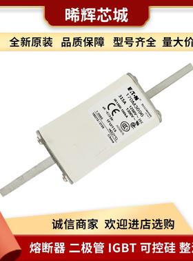 170M3696 低压快速熔断器 直流快速熔断器 电子元器件 现货直供