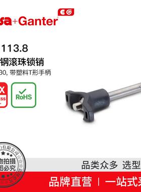 Elesa Ganter伊莉莎冈特 GN 113.8 不锈钢滚珠锁销 AISI 630