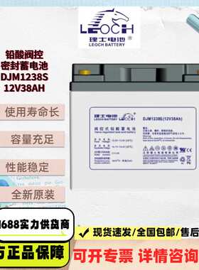 理士蓄电池DJM1238S免维护铅酸12V38AH直流屏UPS/EPS电源机房电池