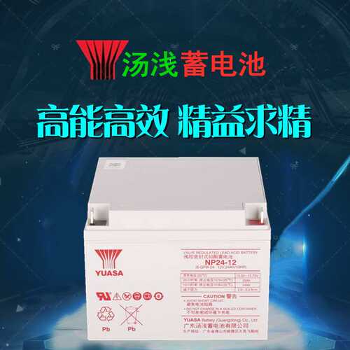 YUASA汤浅工厂直销 免维护UPS电池 UPS电源NP24-12 12V24AH蓄电池