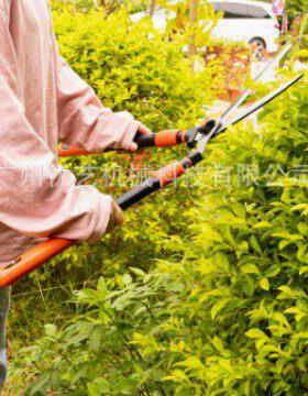 KOTESO园艺大剪刀老人头 KT2104花木剪草修草坪绿篱剪园林修枝剪