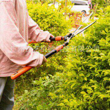KOTESO园艺大剪刀老人头 KT2104花木剪草修草坪绿篱剪园林修枝剪