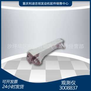 k19k38发电机组水箱零件 液位计/观测仪3008837