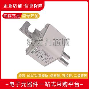 170M4067 170M4068 170M4069 170M5058 170M5059 170M5060熔断器