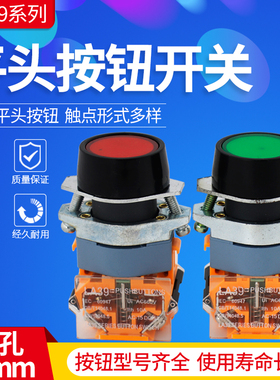 LA39-11 LA39-11BN平钮 自复位自锁点动按钮开关 高品质