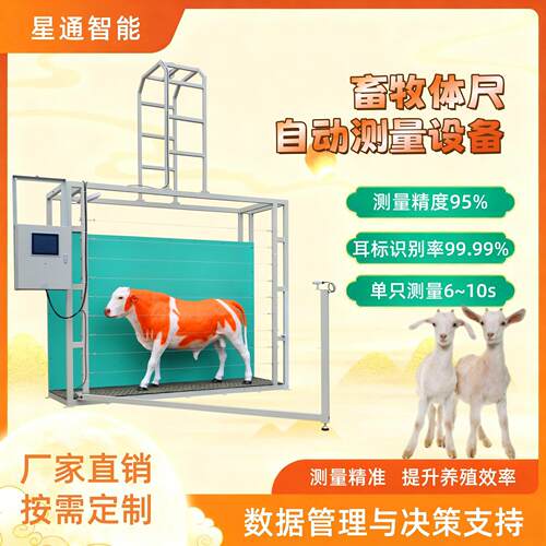 星通智能牛羊全自动体重体尺测量设备检测畜牧生长变化精准管理