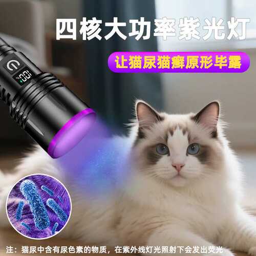 跨境铝合金type-c20W大功率专用紫光灯验钞灯365nm紫外线手电筒