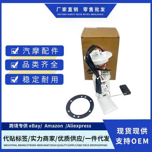 燃油泵总成P107F003950000000 39500-107F00-0000适用于Hisun ATV