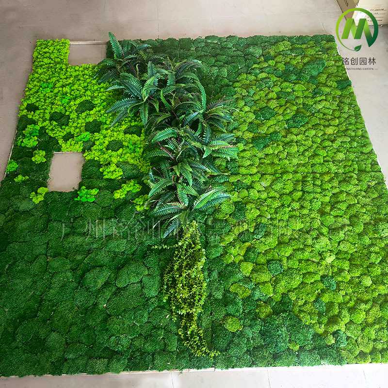 公司前台装饰永生苔藓植物背景墙白发藓块真苔藓绿植墙青苔背景墙