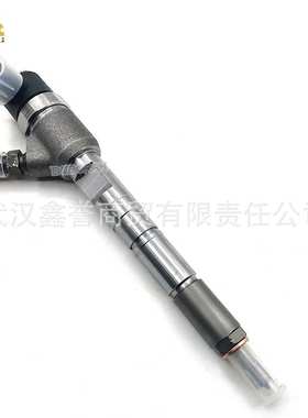 0445110257 3380027400 柴油电喷高压共轨喷油器总成喷油嘴