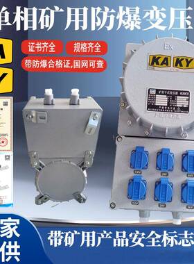矿用单相防爆行灯变压器380V220V变12736V24V12V煤矿井下隧道专用