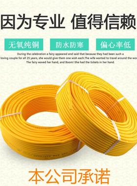 纯铜电源线PVV抗冻抗摔防水牛筋电线缆线2.5平/4平国标两芯护套线
